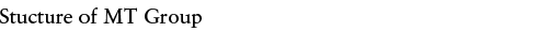 Sructure of MT Group
